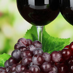 wine spirit